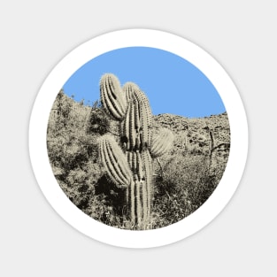 Little Saguaro Magnet