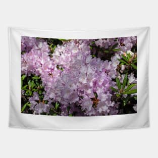 Rhododendron cluster Tapestry