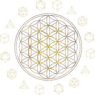 Sacred Geometry Flower of Life Platonic Magnet