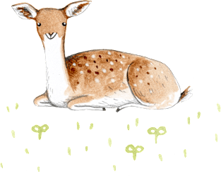 Happy Fallow Deer Magnet