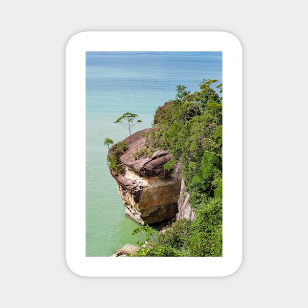 Cliff and trees at ocean shore landscape Magnet by Juhku