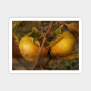 Persimmon Twins Magnet