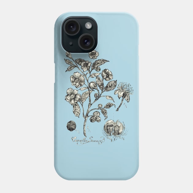 Botanical Illustration_Tea Plant. Phone Case by FanitsaArt