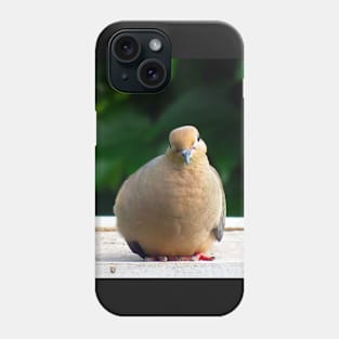 Bird Staring Mourning Dove Phone Case