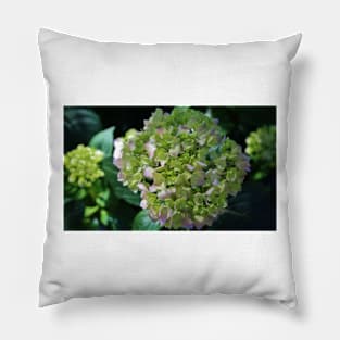 Lime-Green Hydrangea Pillow