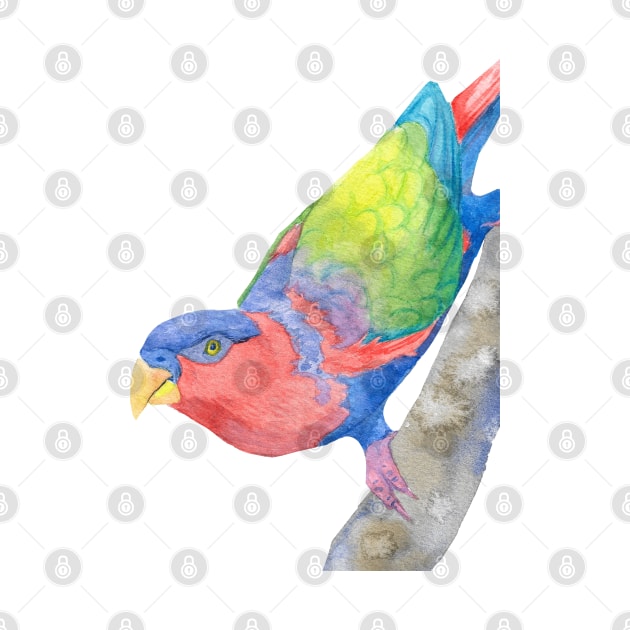 black-capped lory (Lorius lory) watercolor portrait by Oranjade0122