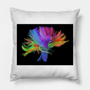 White matter fibres of the human brain (C023/9414) Pillow