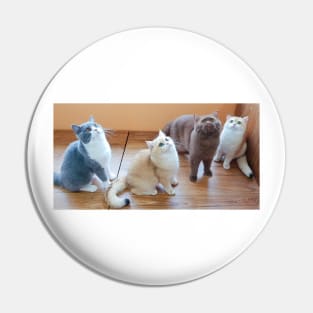 The cute cats gangs Pin