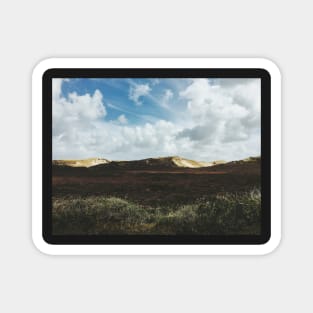 Grassy Dunes in Sylt (Germany) Magnet