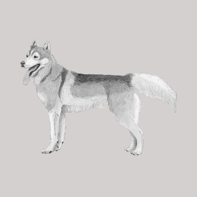 Siberian Husky ink by doggyshop