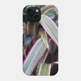 Multicolored Leaves in Spring Rain Phone Case