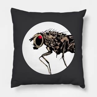 Fly / Fliege / Mouche Pillow