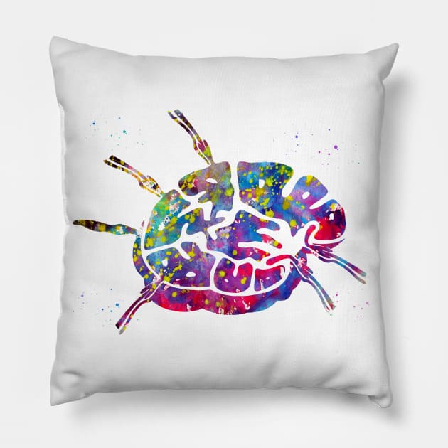 Lymph node Pillow by erzebeth