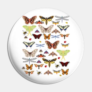 Vintage Butterfly Art Natures Pollinators Pin