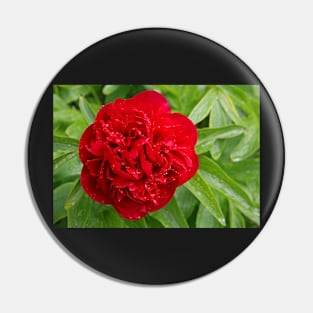 Red Peony Pin