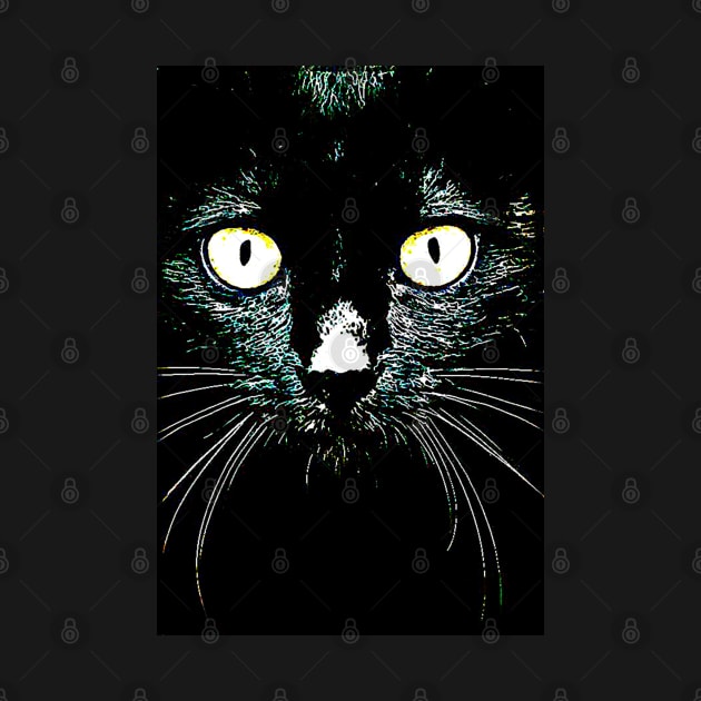 black cat by mandiblez