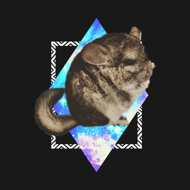 CHINCHILLA IN SPACE by Anewman00.DESIGNS