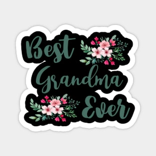 Best Grandma Ever Grandmother Grandma Magnet