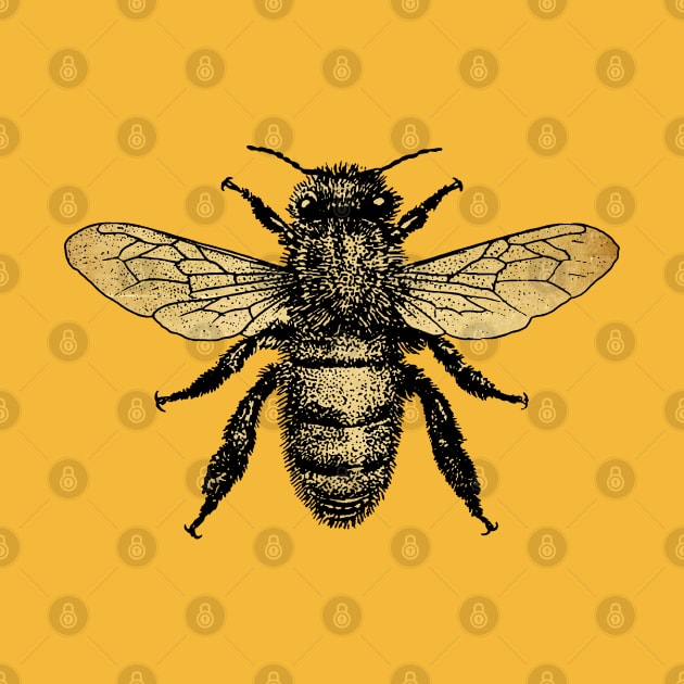 Bee by Midcenturydave