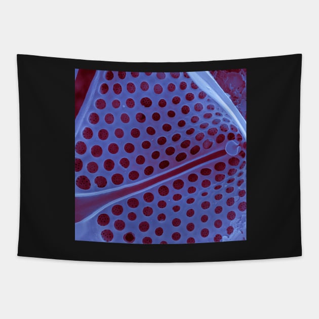 Diatom - Asteromphalus in SEM (internal, purple) Tapestry by DiatomsATTACK