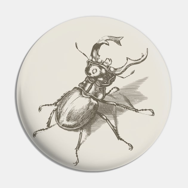 Dramabite Vintage stag beetle illustration Pin by dramabite