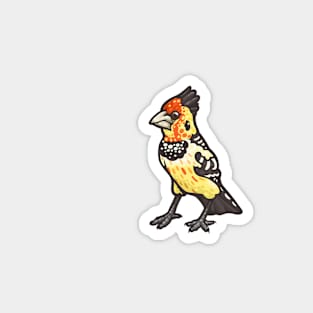 Crested Barbet Magnet