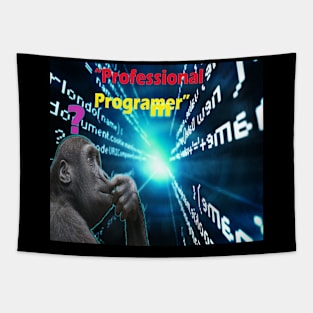 PROFESSIONAL PROGRAMMER Tapestry