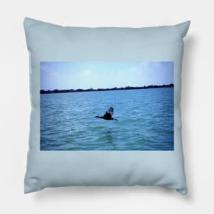 Beautiful lake Pillow