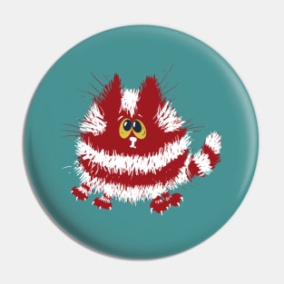 Funny Red and White Fluffy Cat on Turquoise Background Pin