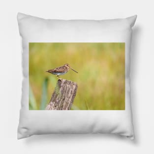 Common snipe bird sitting on tree trunk Pillow