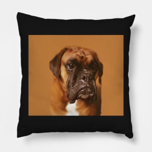 Quino the boxer. Pillow