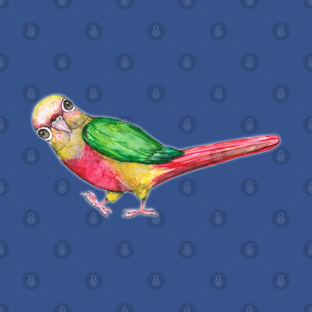 Very cute pineapple conure by Bwiselizzy