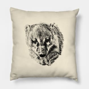 Coati Pillow