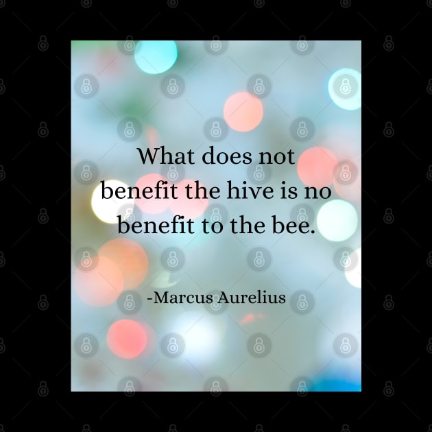 Stoic Wisdom: Bee's Lesson in Maximizing Benefits by Dose of Philosophy