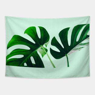 Nature Tropical Plant life lover Tapestry