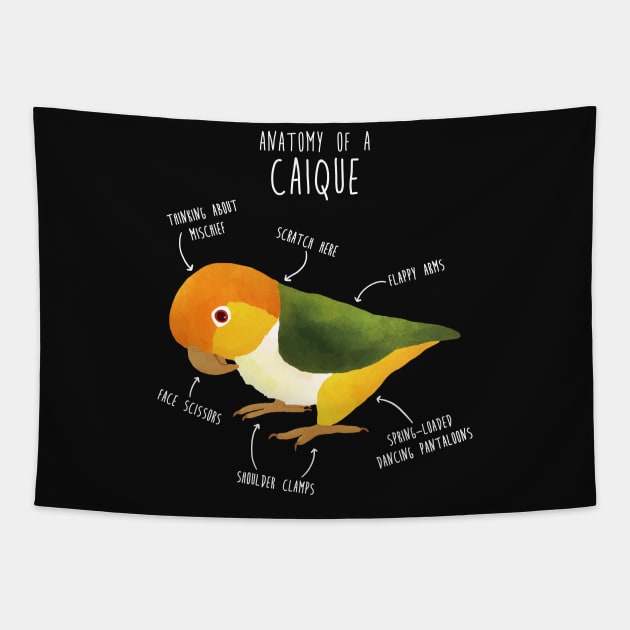 Anatomy of a White-Bellied Caique Tapestry by Psitta