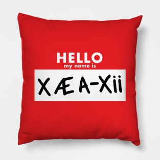 Hello My Name is X Æ A-Xii Pillow