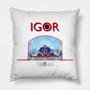 IGOR Pillow