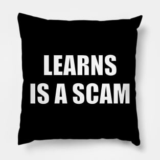 Learns Is A Scam - It's All A Scam Pillow