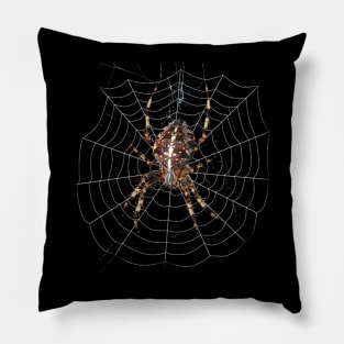 spider Pillow