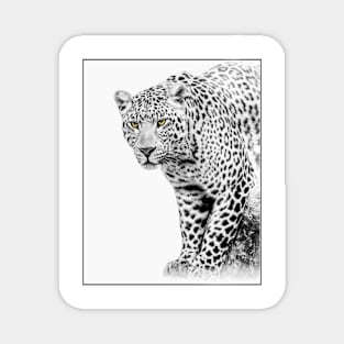 Leopard Illustration Magnet