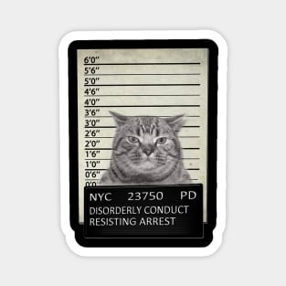 Cat Mugshot NYC Magnet