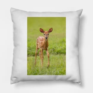 Fawn Memories - White-tailed deer Pillow