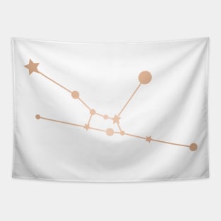 Taurus Zodiac Constellation in Rose Gold Tapestry