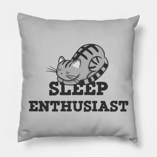 Sleep Enthusiast Cat Nap Pillow