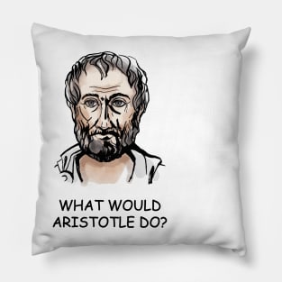 What Would Aristotle Do Pillow