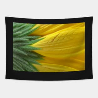 Yellow Daisy Macro Tapestry