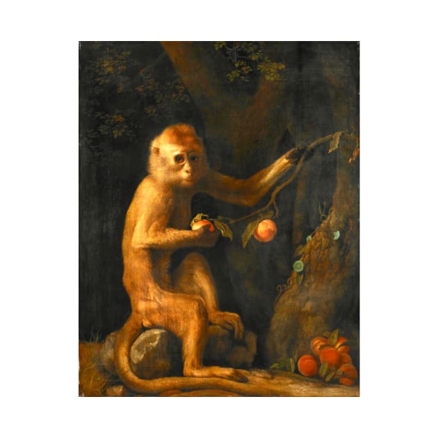 A Monkey by George Stubbs (digitally enhanced) by Amanda1775