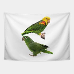 Parrots Tapestry