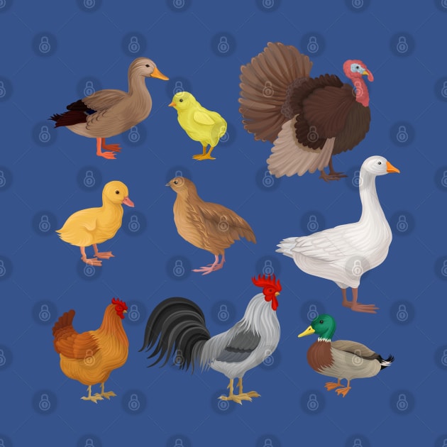 Poultry illustration by Mako Design 